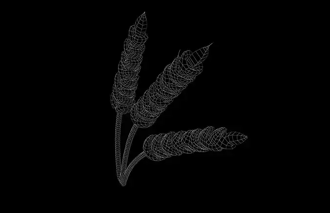 Wheat Stalks Icon v1 002 Low-poly 3D model 6