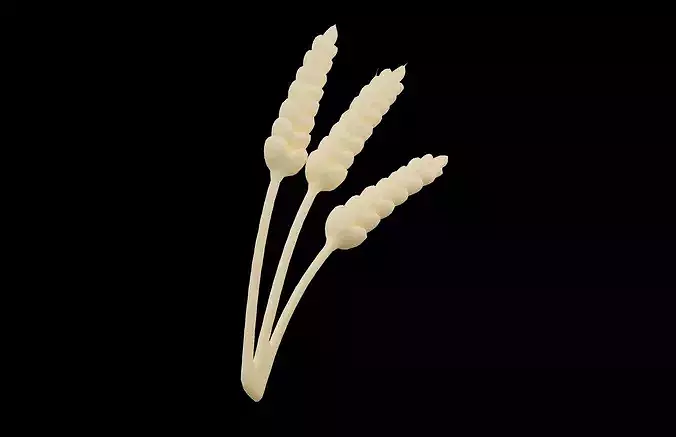Wheat Stalks Icon v1 002 Low-poly 3D model 3