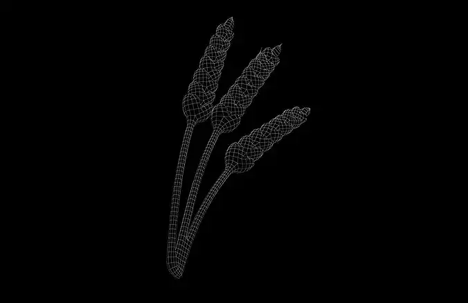Wheat Stalks Icon v1 002 Low-poly 3D model 7