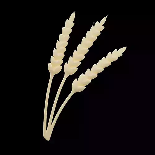 Wheat Stalks Icon v1 002 Low-poly 3D model