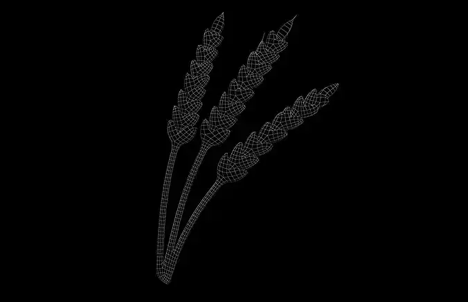 Wheat Stalks Icon v1 002 Low-poly 3D model 5
