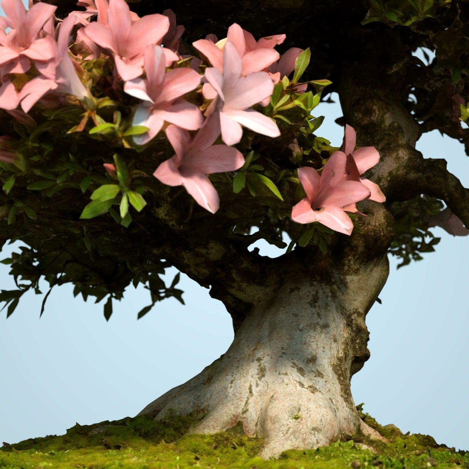 Satsuki Bonsai Tree Blossom 6 Low-poly 3D model_3