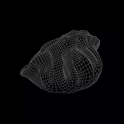 Dumpling v2 003 Low-poly 3D model 6