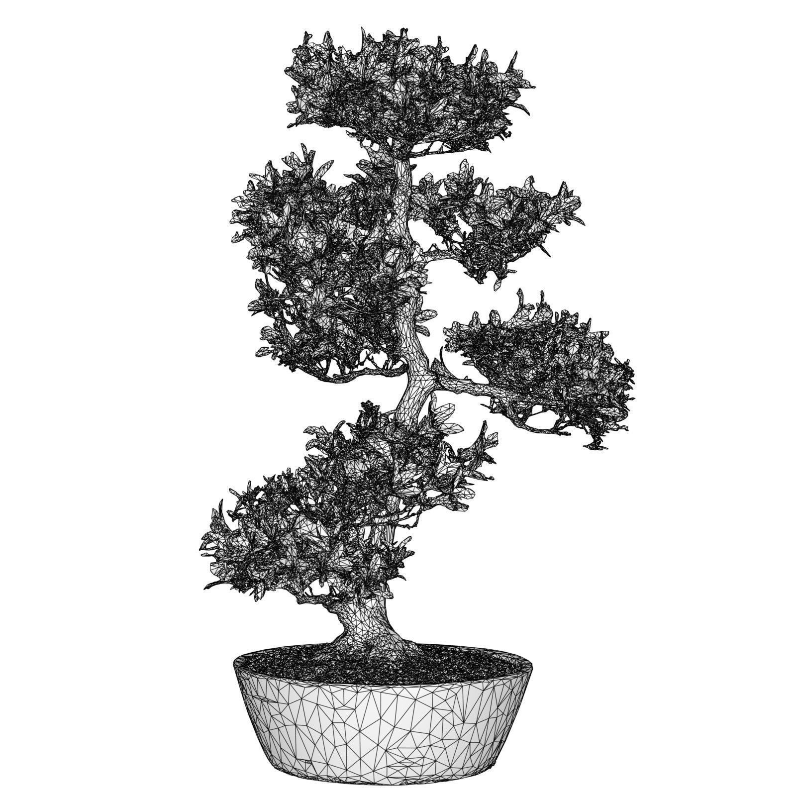 Satsuki Bonsai Tree Blossom 11 Low-poly 3D model_4