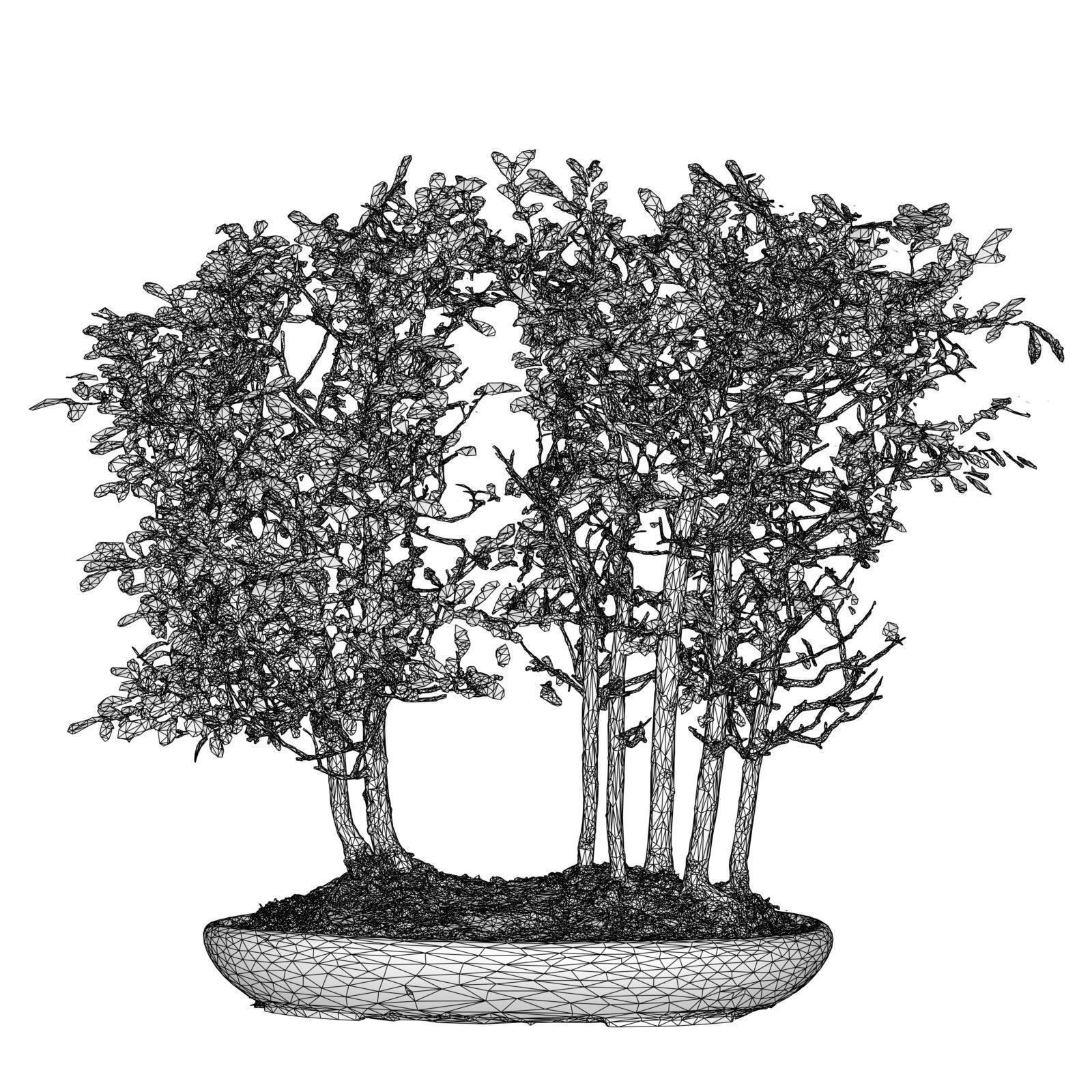 Miniature Bonsai Forest Low-poly 3D model_4