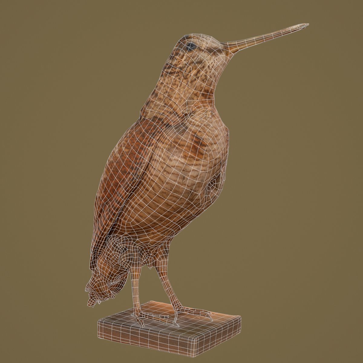 9 Birds Collection V3 Low-poly 3D model_53