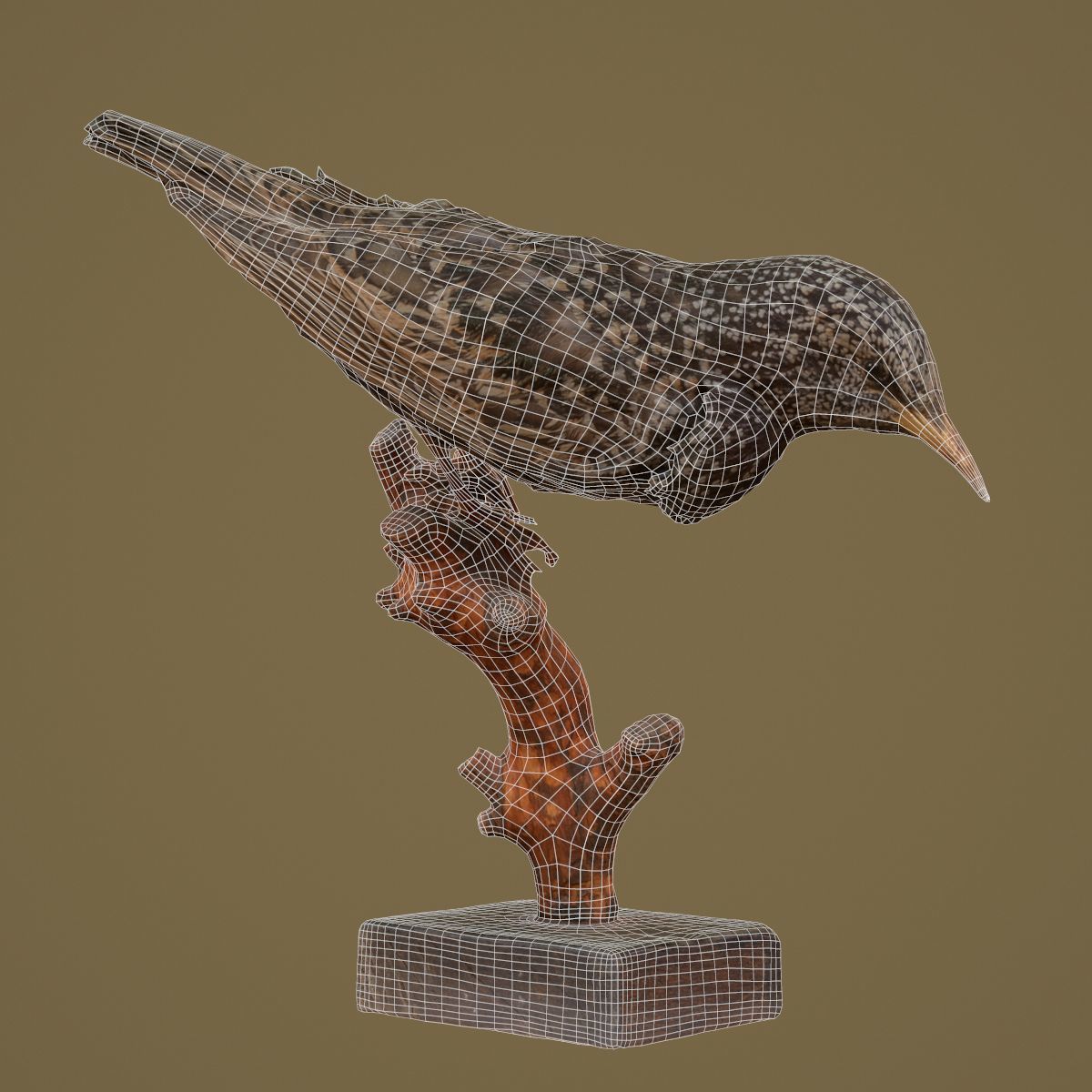9 Birds Collection V3 Low-poly 3D model_52