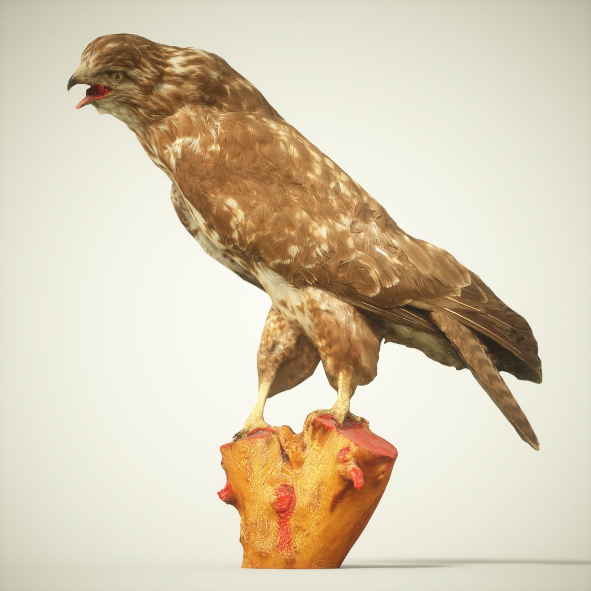 9 Birds Collection V3 Low-poly 3D model_15