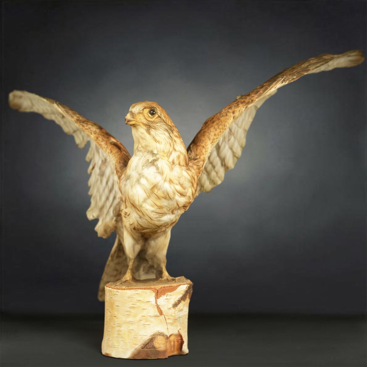 9 Birds Collection V3 Low-poly 3D model_4