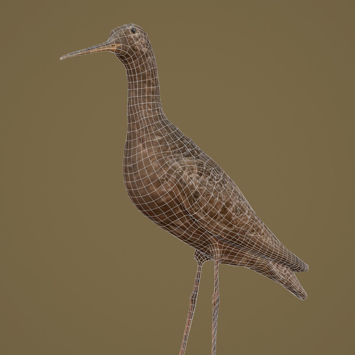 9 Birds Collection V3 Low-poly 3D model_64