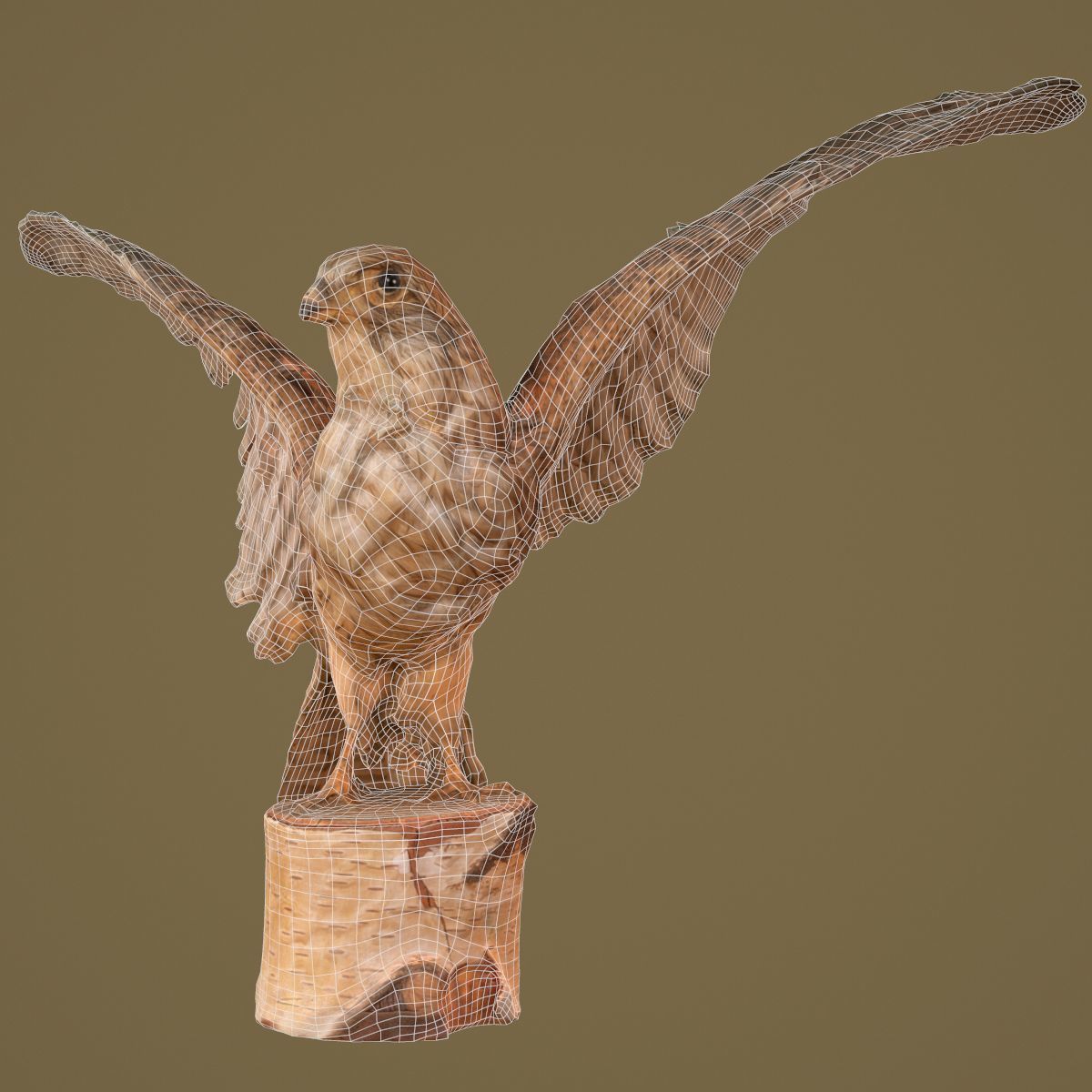 9 Birds Collection V3 Low-poly 3D model_56