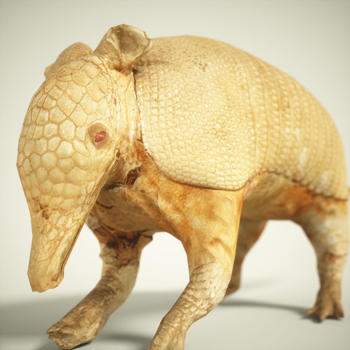 9 Animals Collection crocodile sculpture Low-poly 3D model_64