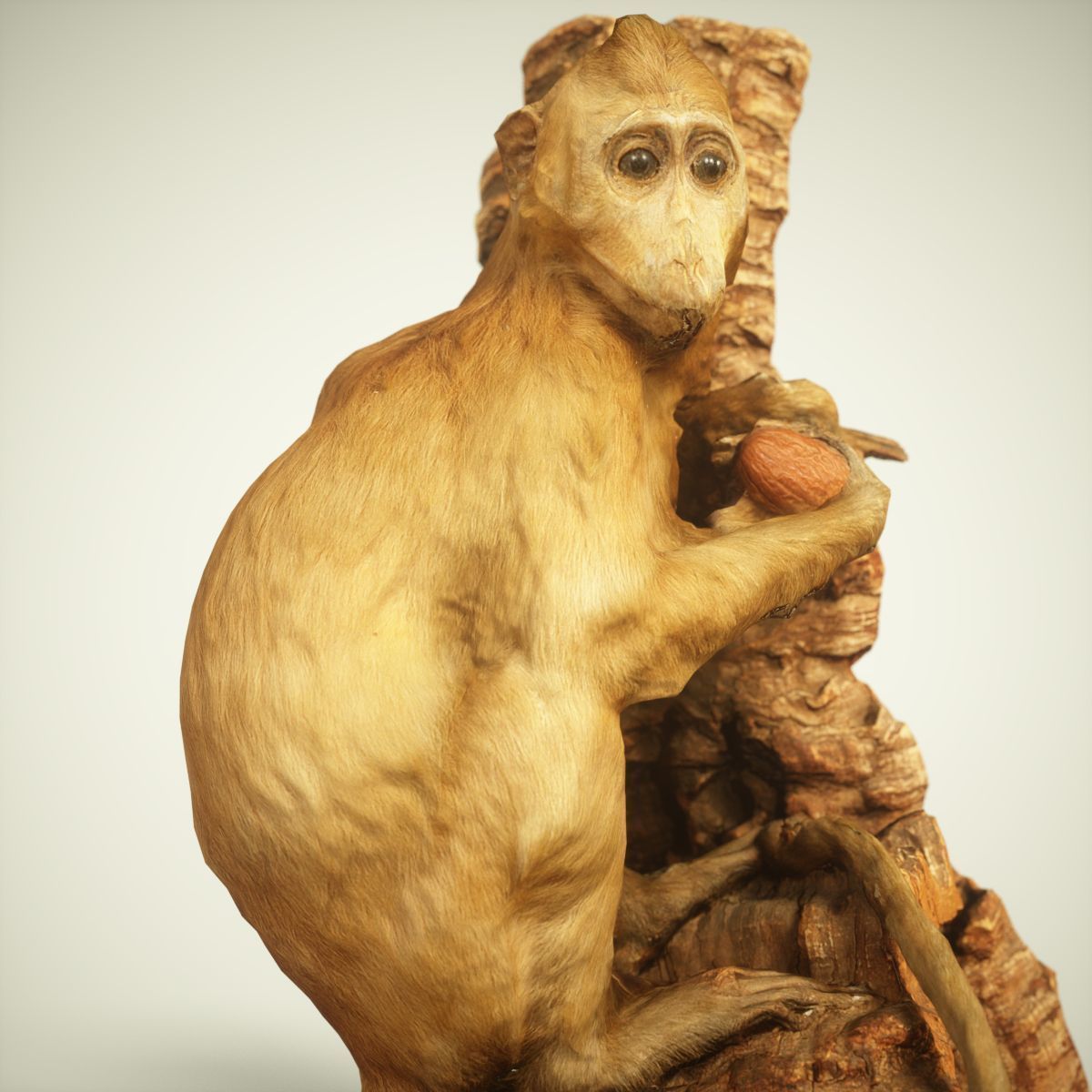 9 Animals Collection crocodile sculpture Low-poly 3D model_61