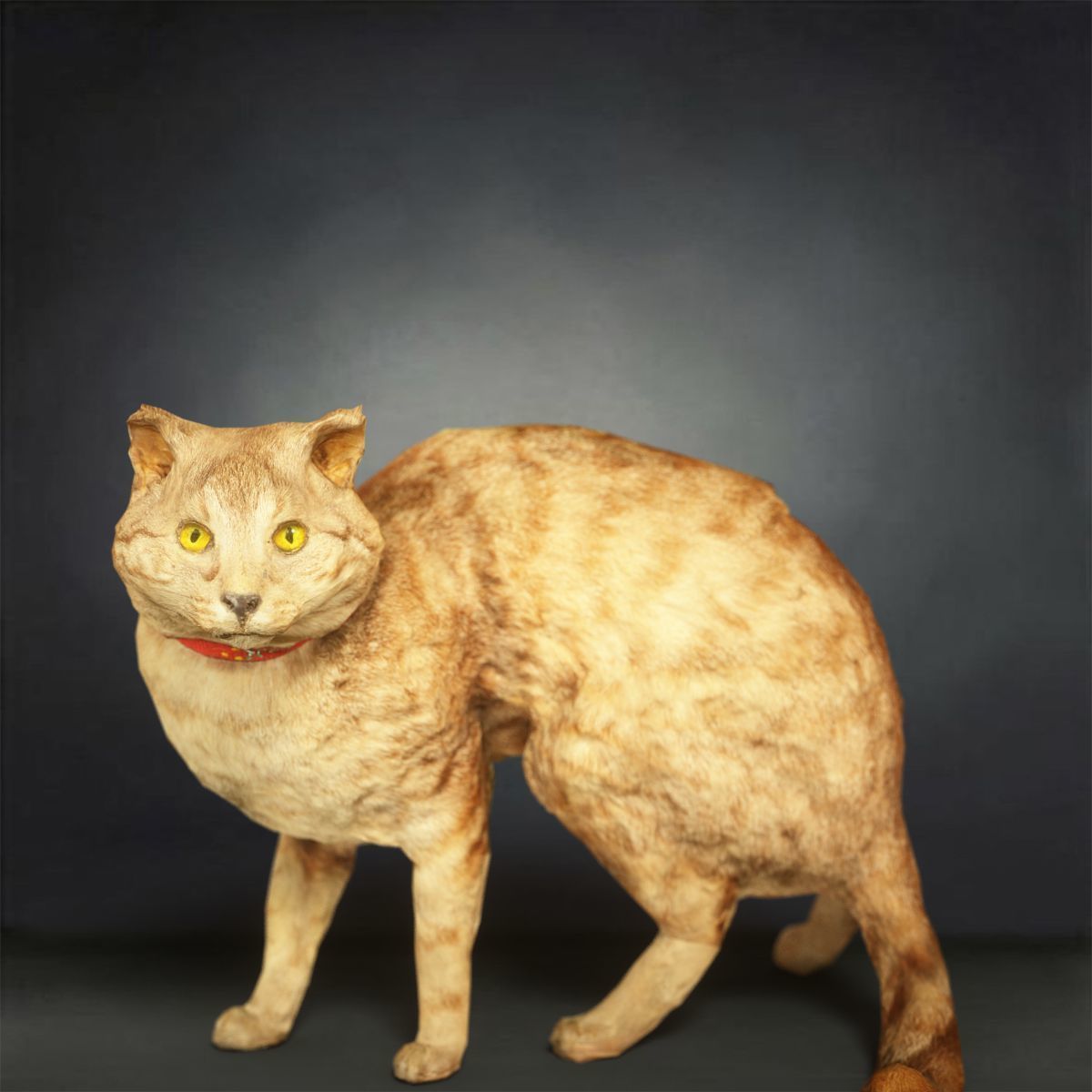 9 Animals Collection crocodile sculpture Low-poly 3D model_3