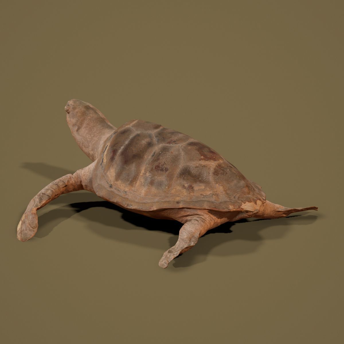 9 Animals Collection crocodile sculpture Low-poly 3D model_35