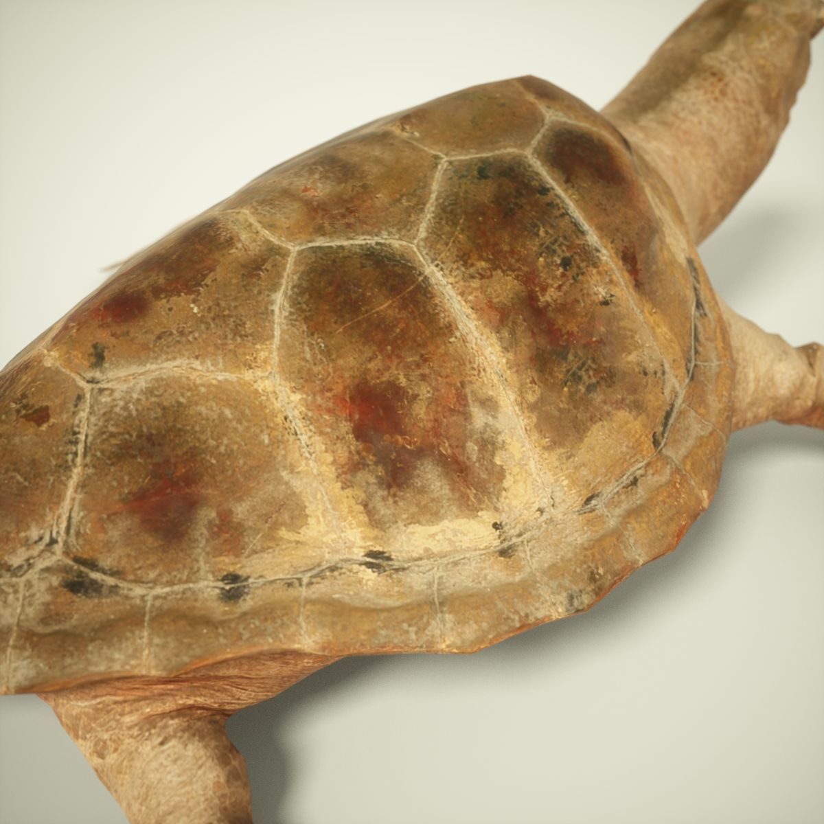 9 Animals Collection crocodile sculpture Low-poly 3D model_54