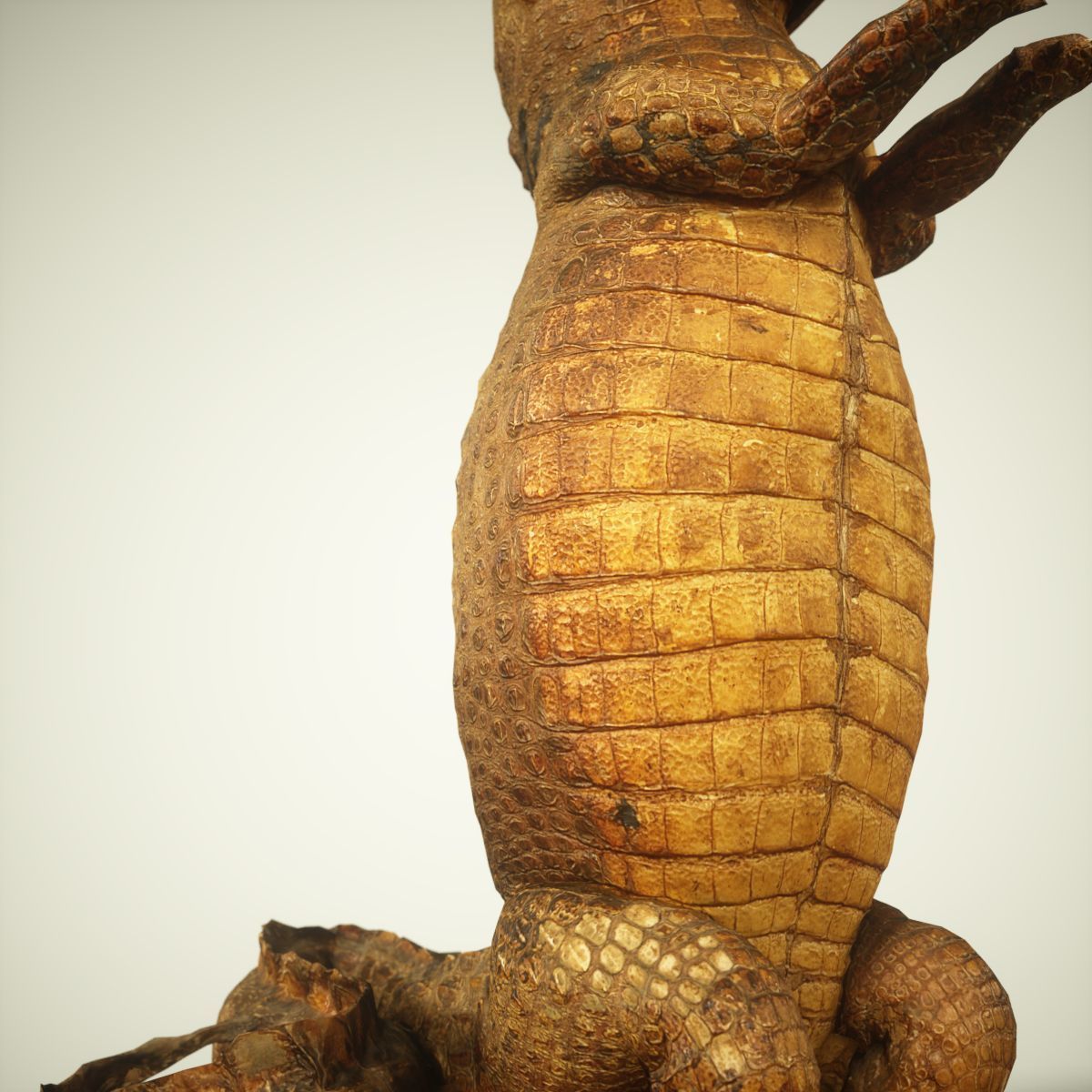 9 Animals Collection crocodile sculpture Low-poly 3D model_58