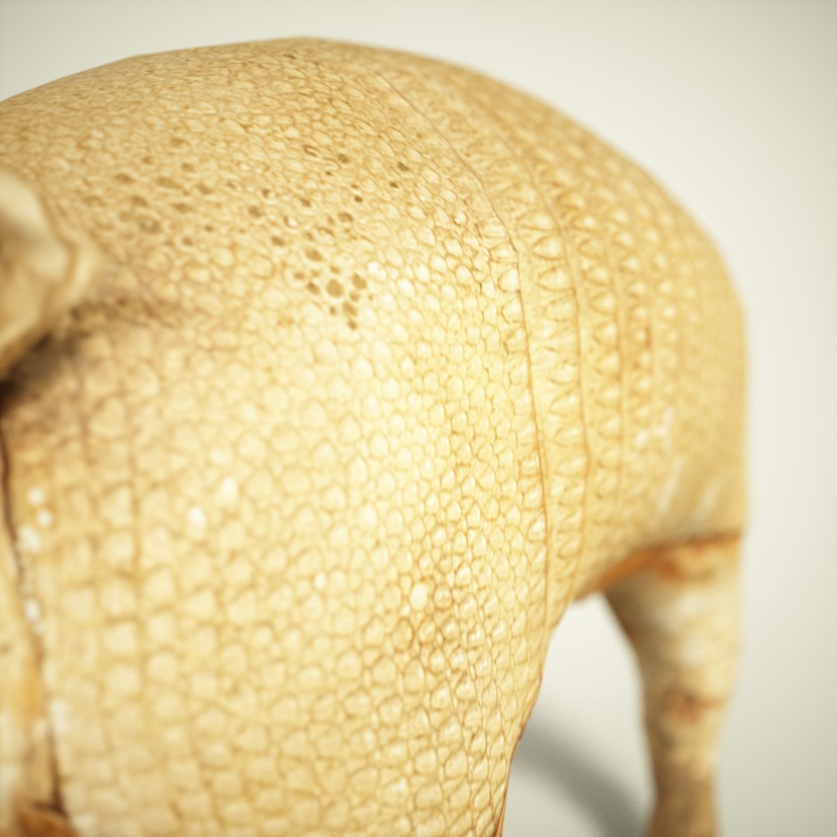 9 Animals Collection crocodile sculpture Low-poly 3D model_15