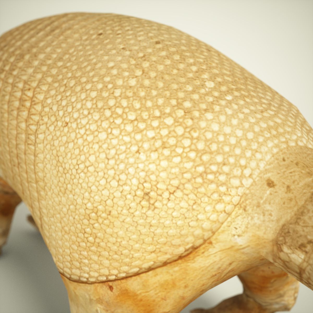 9 Animals Collection crocodile sculpture Low-poly 3D model_51