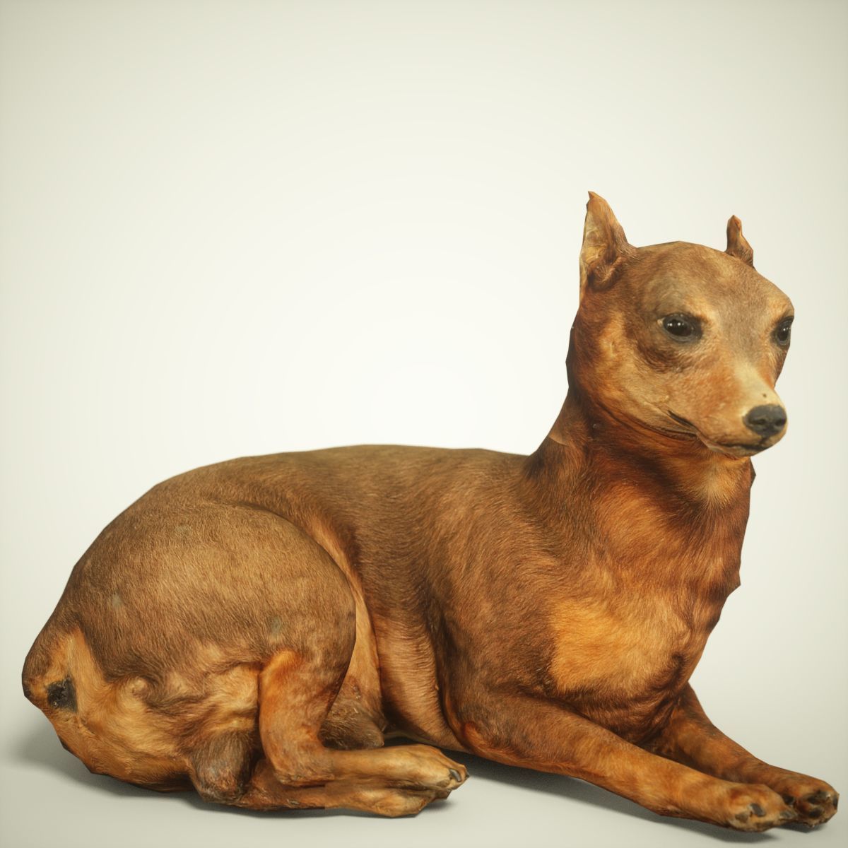 9 Animals Collection crocodile sculpture Low-poly 3D model_43