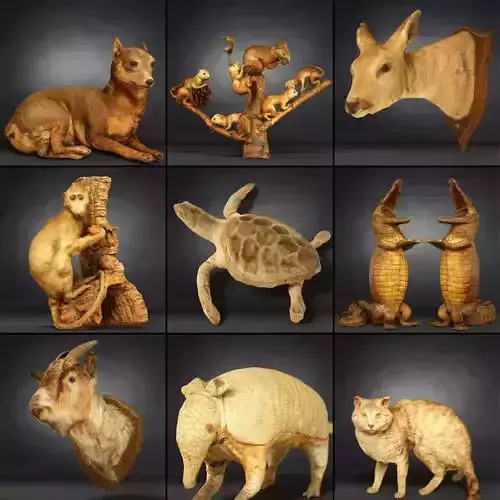 9 Animals Collection crocodile sculpture Low-poly 3D model