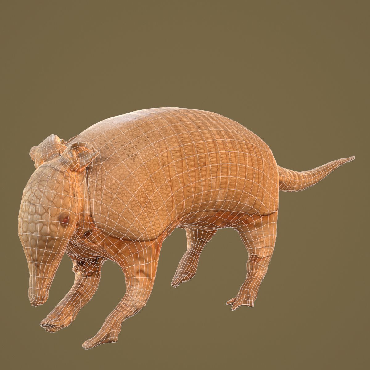 9 Animals Collection crocodile sculpture Low-poly 3D model_31