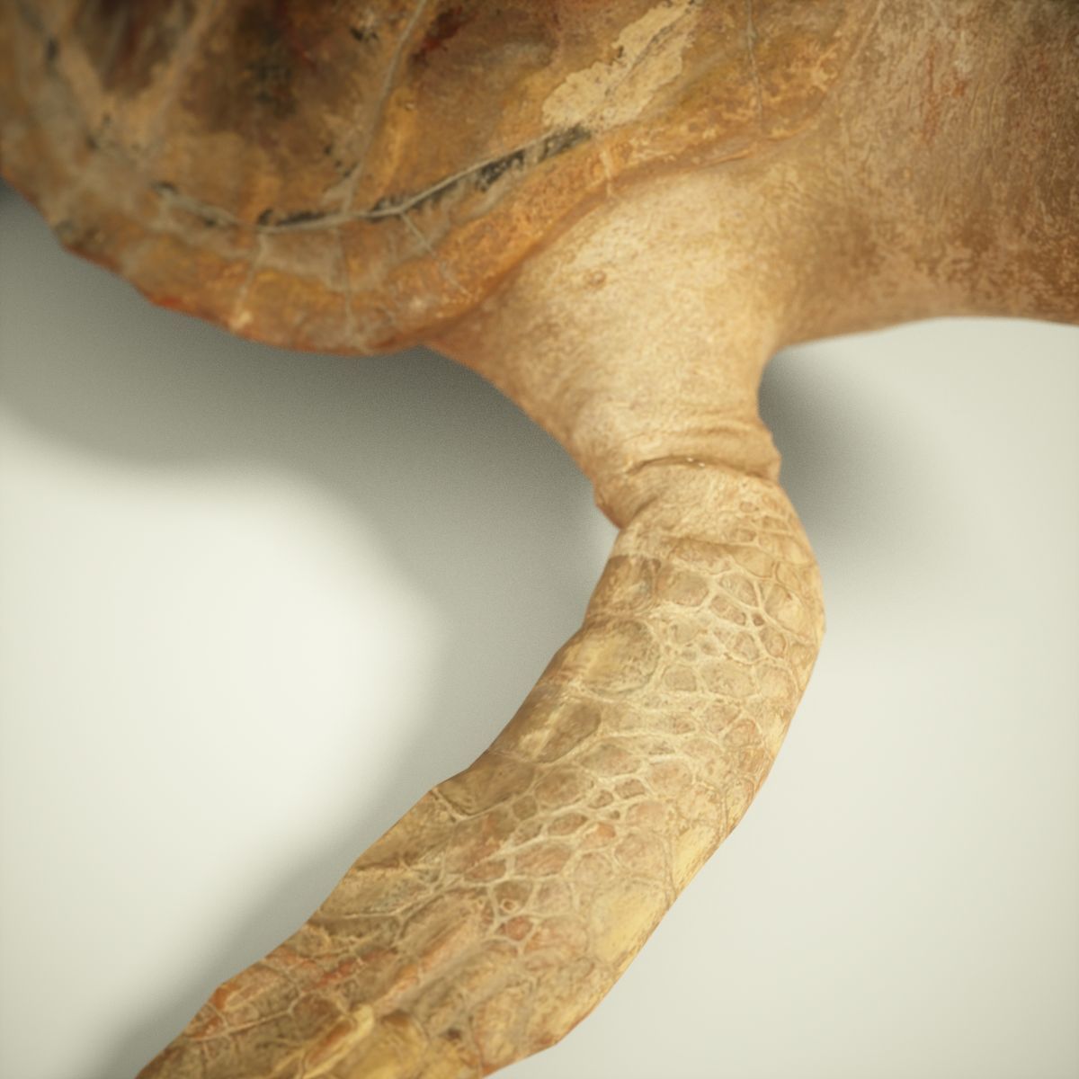 9 Animals Collection crocodile sculpture Low-poly 3D model_65