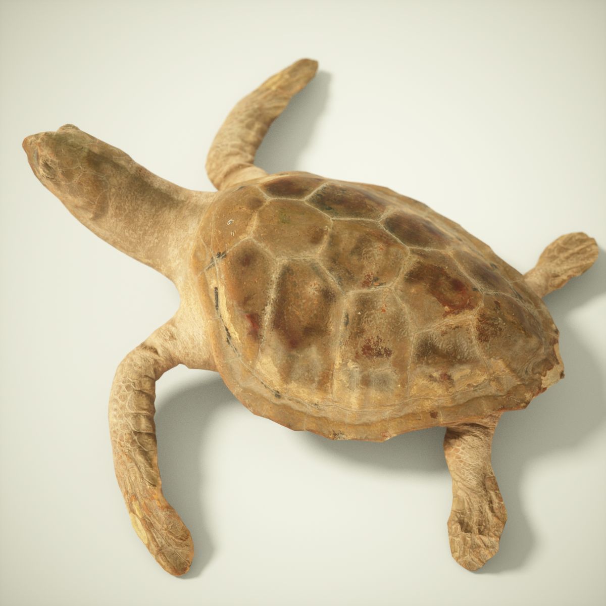 9 Animals Collection crocodile sculpture Low-poly 3D model_47