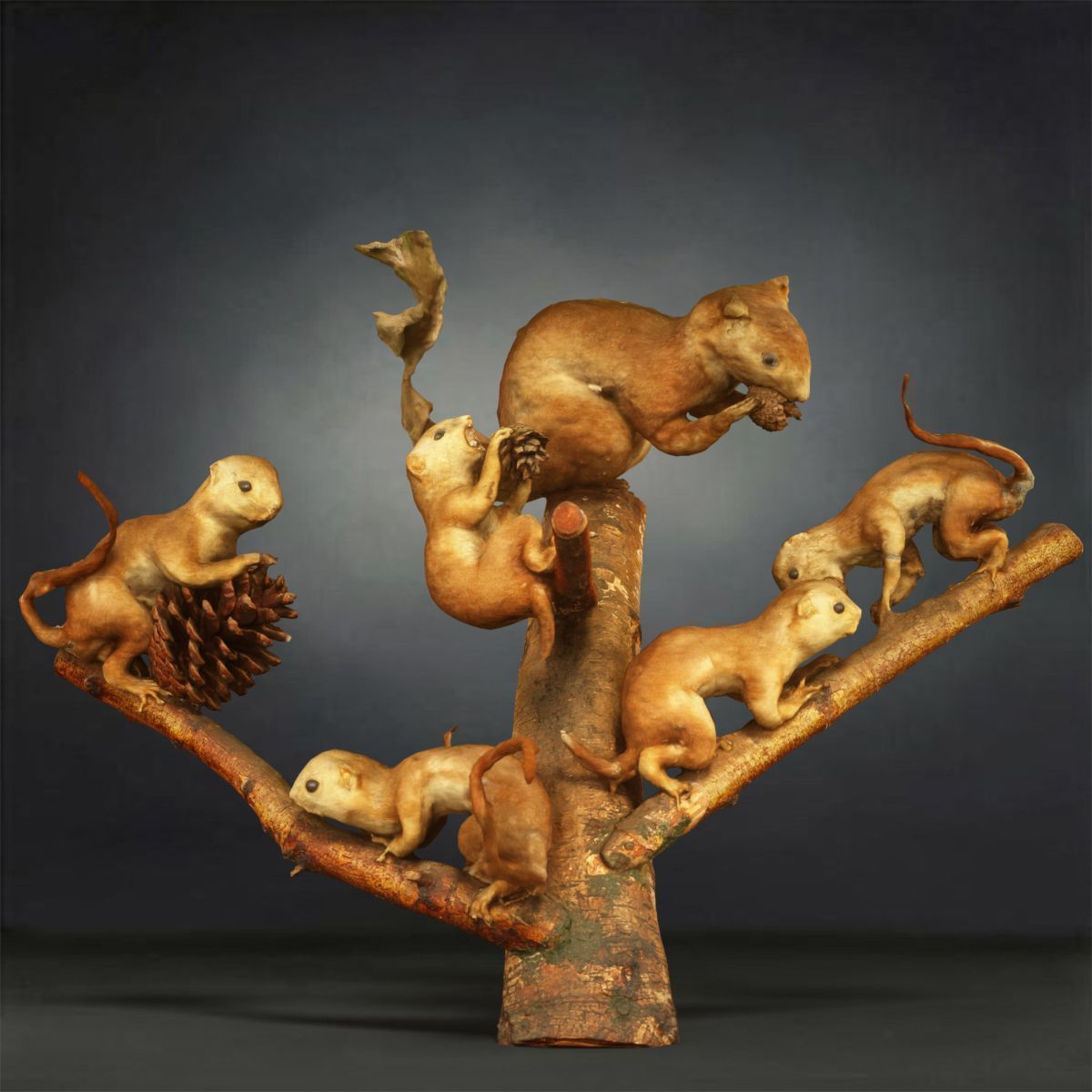 9 Animals Collection crocodile sculpture Low-poly 3D model_8