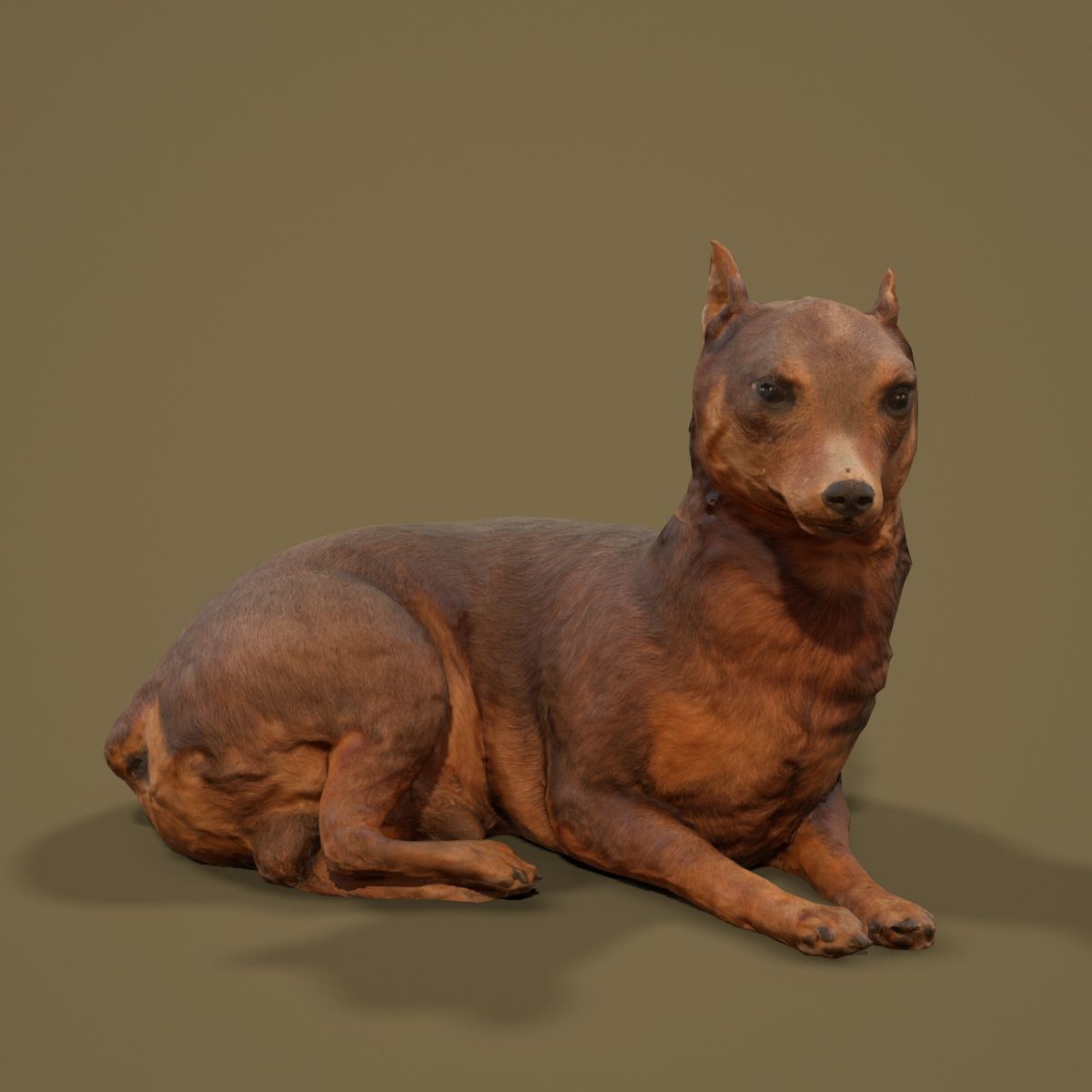 9 Animals Collection crocodile sculpture Low-poly 3D model_25