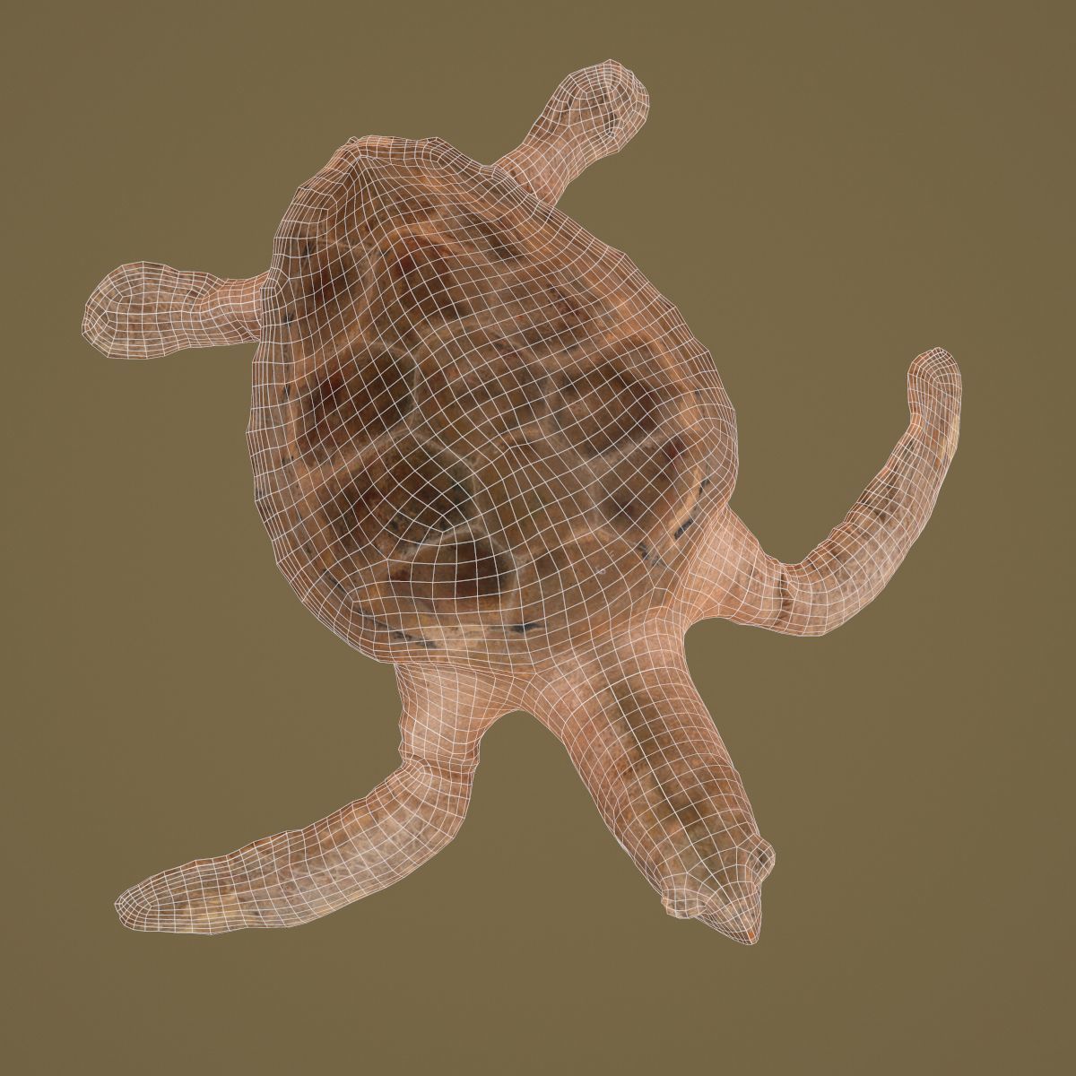 9 Animals Collection crocodile sculpture Low-poly 3D model_33