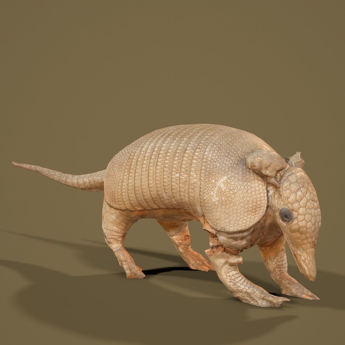 9 Animals Collection crocodile sculpture Low-poly 3D model_32