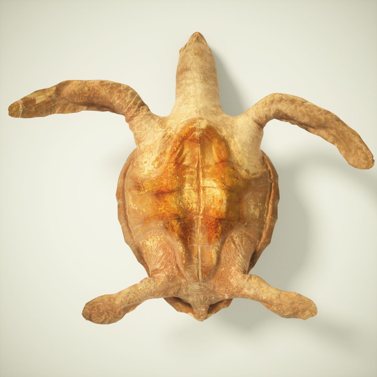 9 Animals Collection crocodile sculpture Low-poly 3D model_17