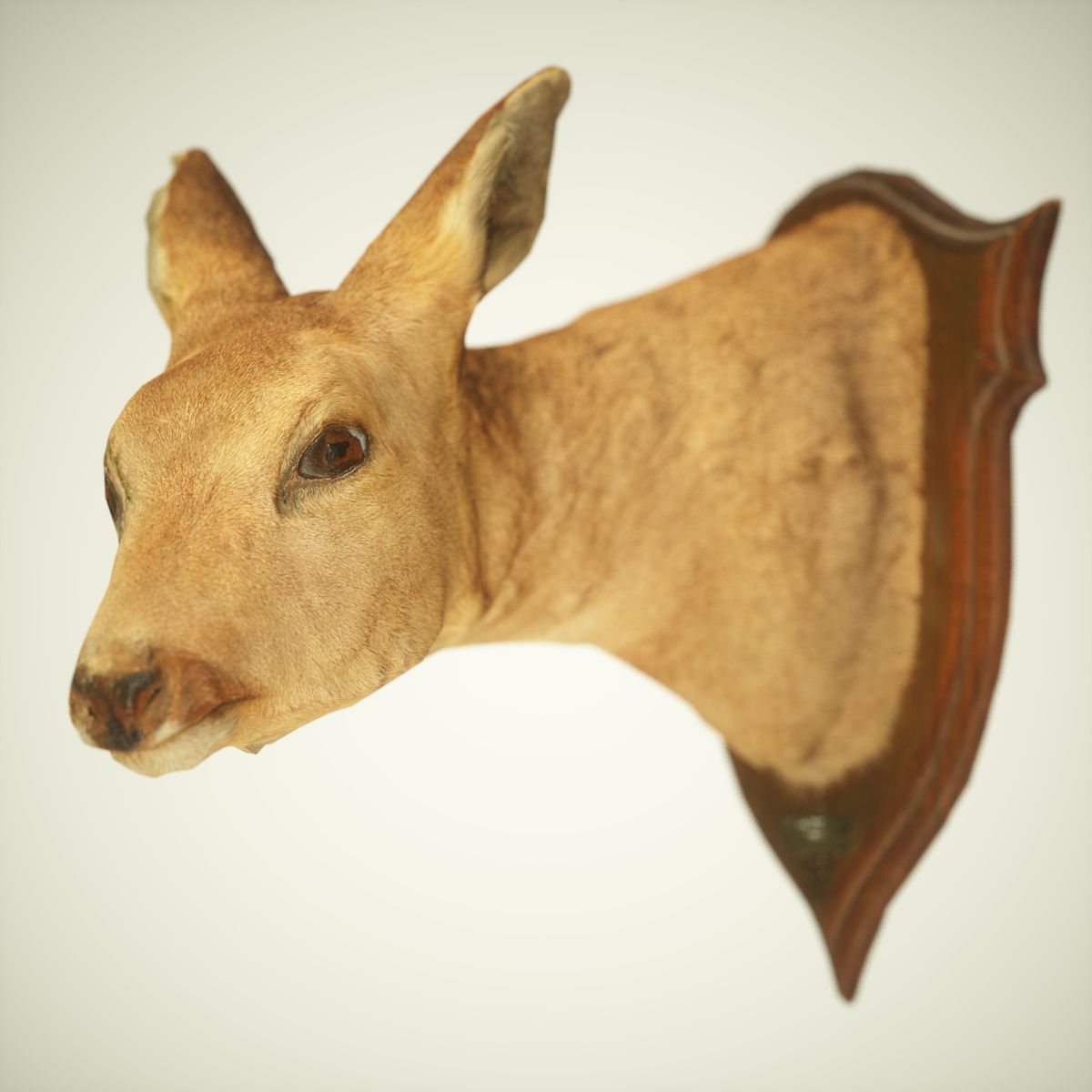 9 Animals Collection crocodile sculpture Low-poly 3D model_40