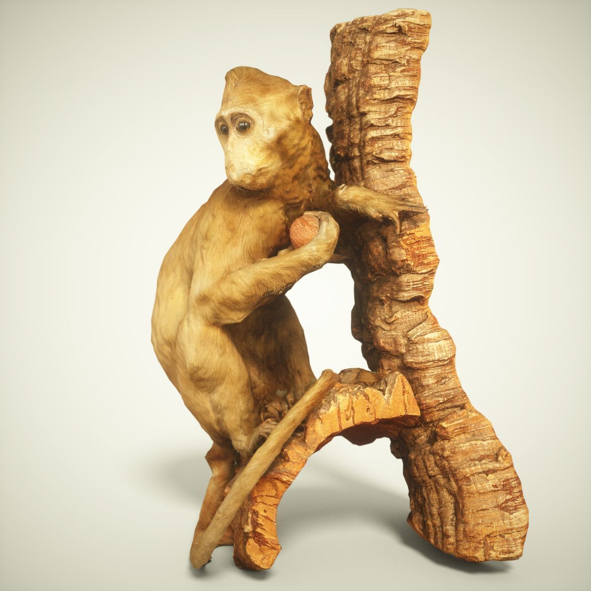 9 Animals Collection crocodile sculpture Low-poly 3D model_14