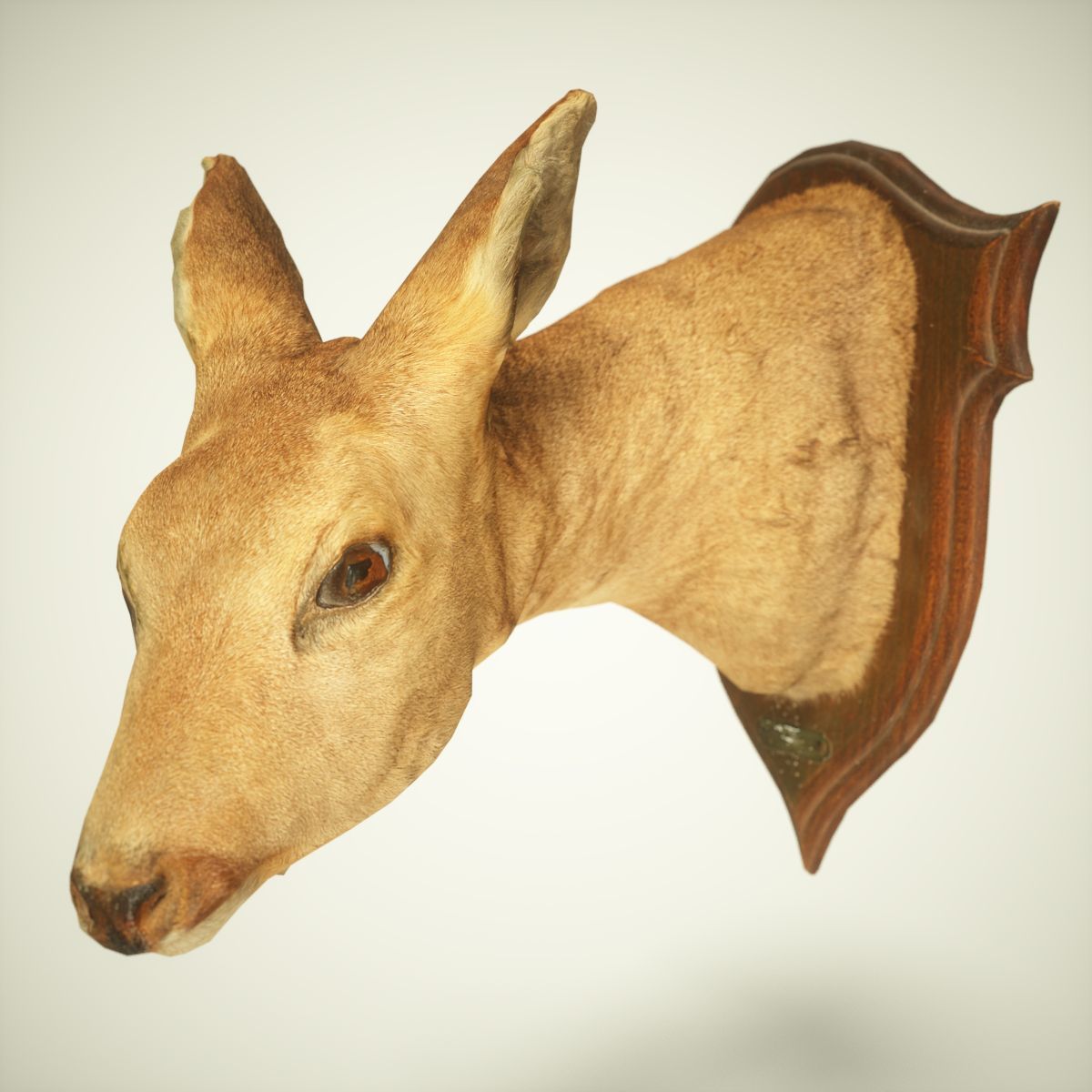 9 Animals Collection crocodile sculpture Low-poly 3D model_49