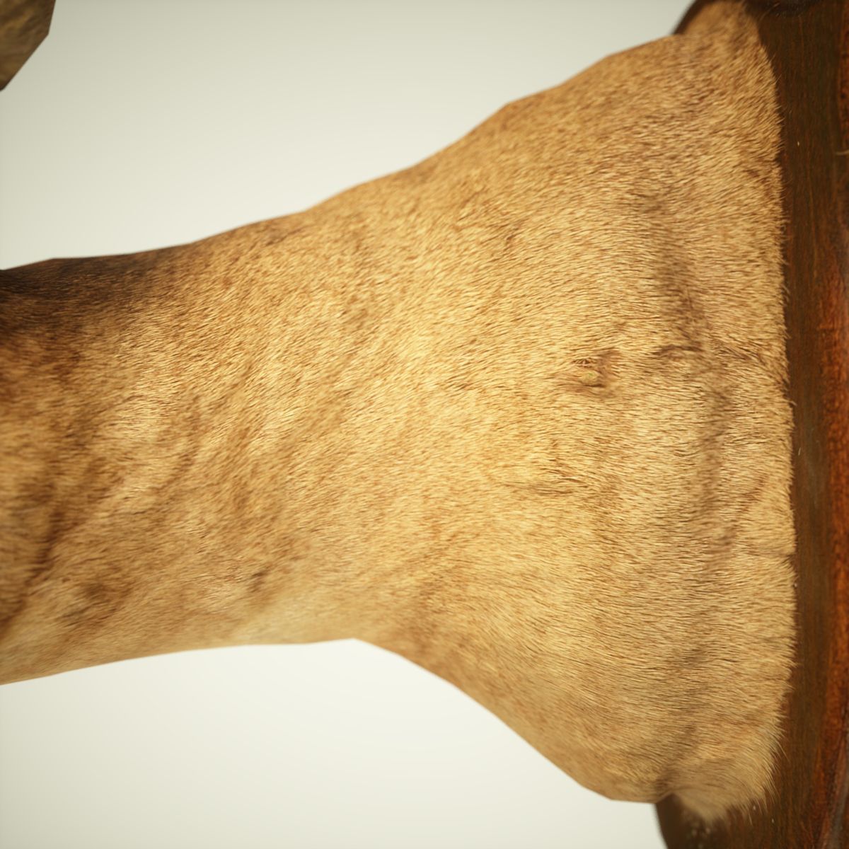 9 Animals Collection crocodile sculpture Low-poly 3D model_12