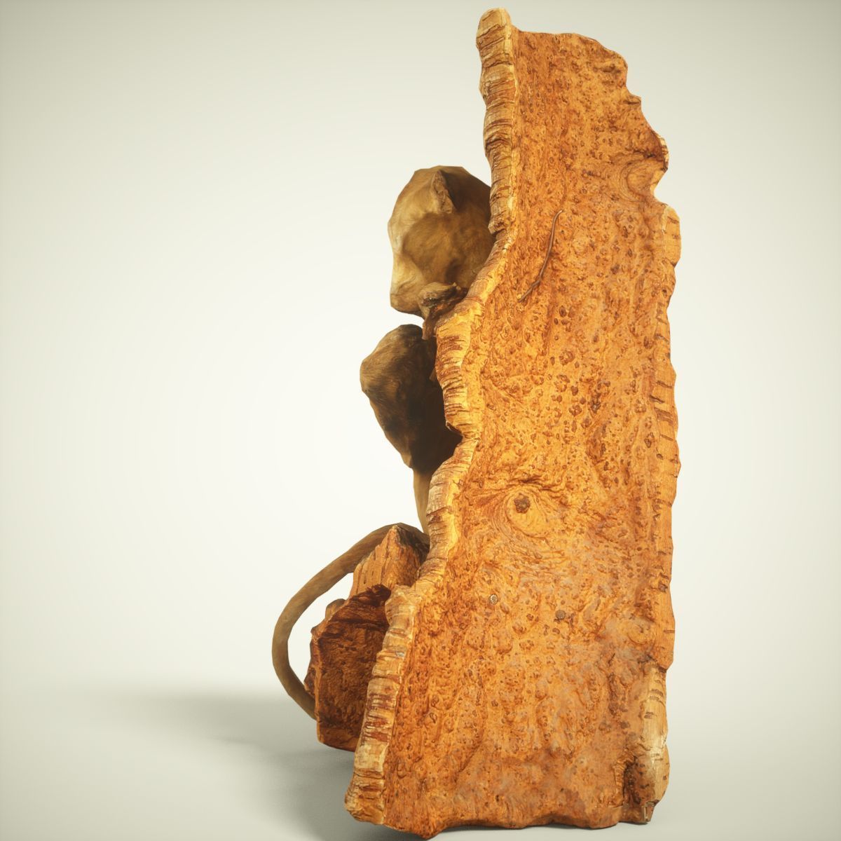 9 Animals Collection crocodile sculpture Low-poly 3D model_55