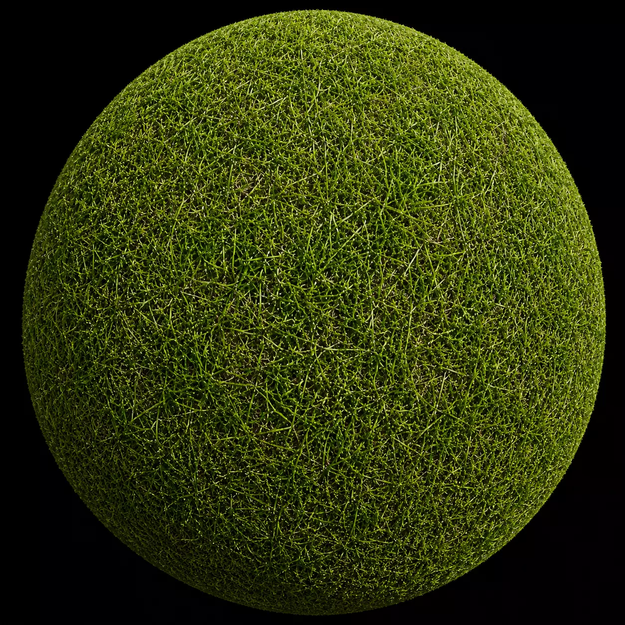 Fresh Green Lawn Grass Seamless Texture Texture