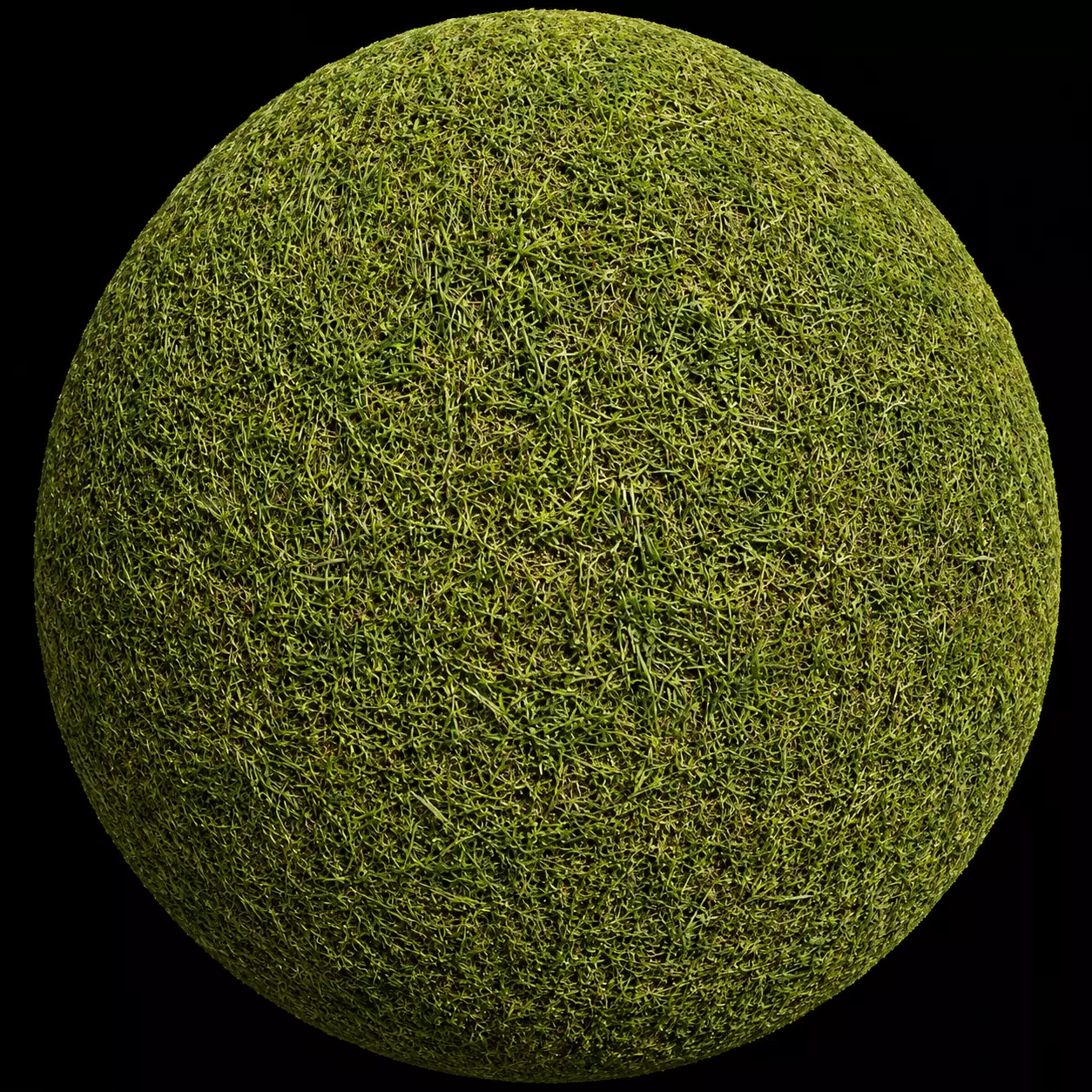 Natural Green Lawn Grass Seamless Texture Texture