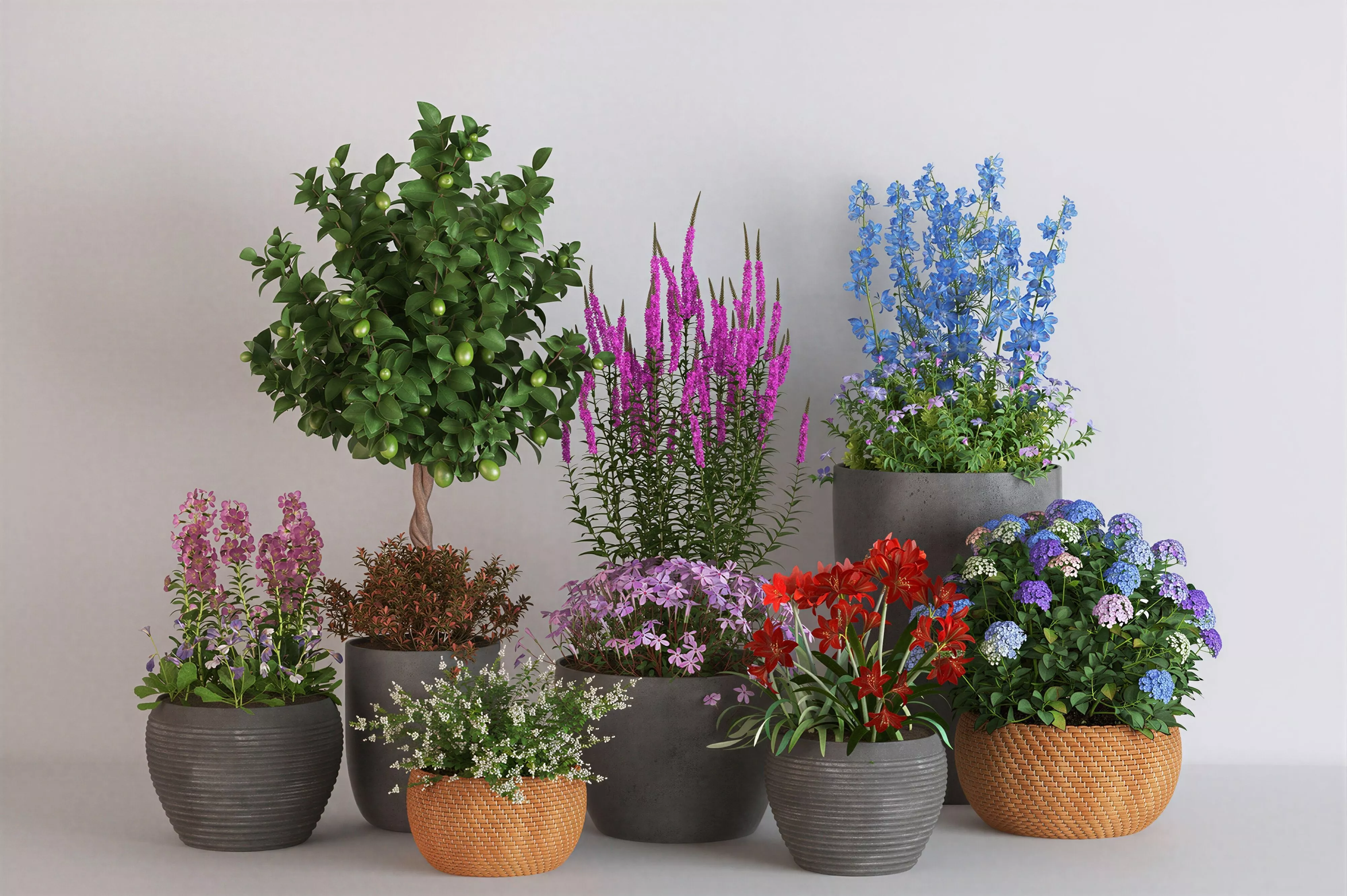 Mixed Seasonal Flower Potted Plant 3D Model Pack 3D model
