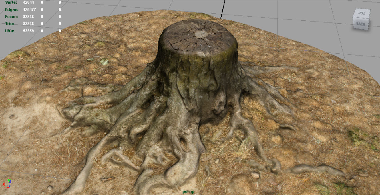 Tree Stump 2 Low-poly 3D model_3