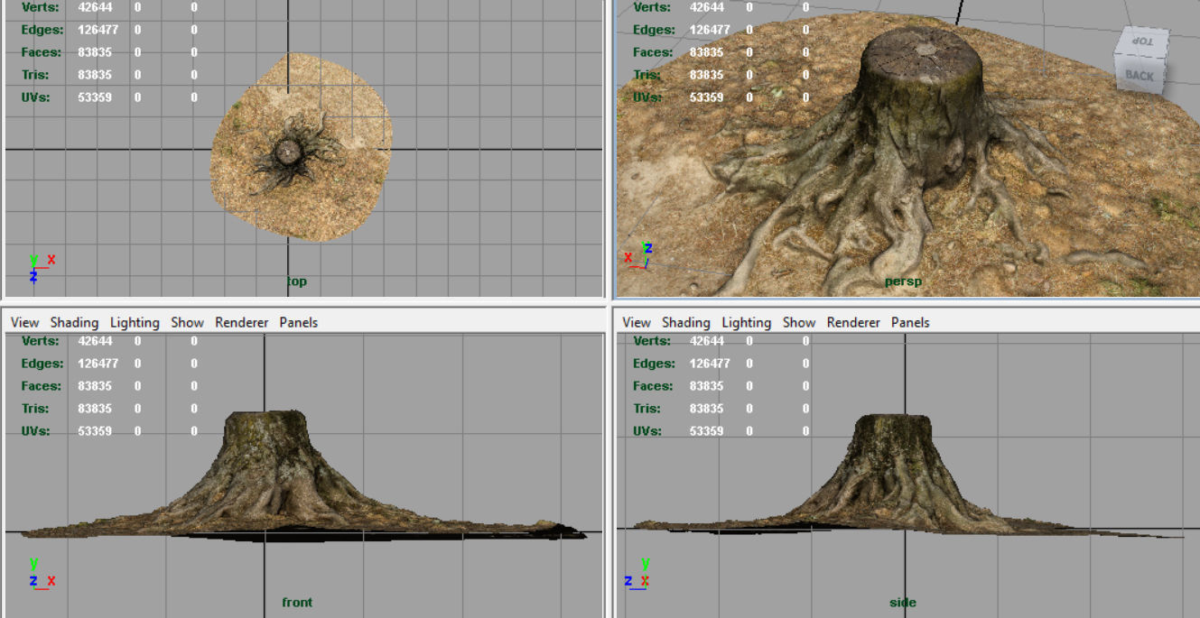 Tree Stump 2 Low-poly 3D model_7