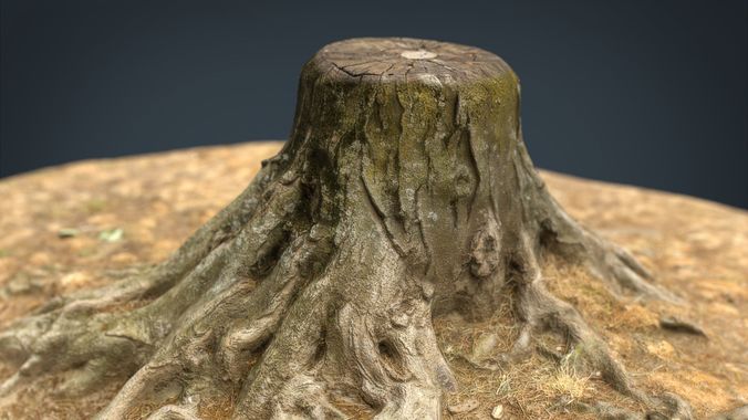 Tree Stump 2 Low-poly 3D model