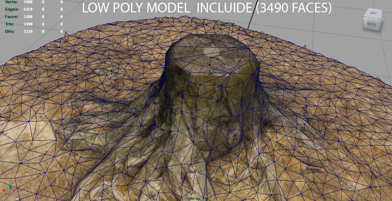 Tree Stump 2 Low-poly 3D model_5