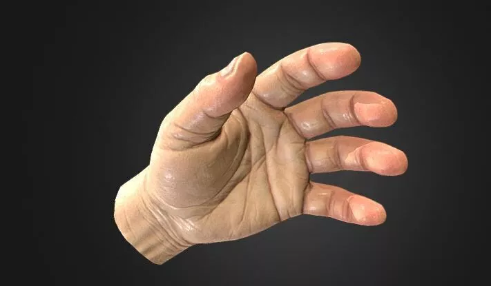 Realistic Human Hand 3D Model High Detail PBR 3D model