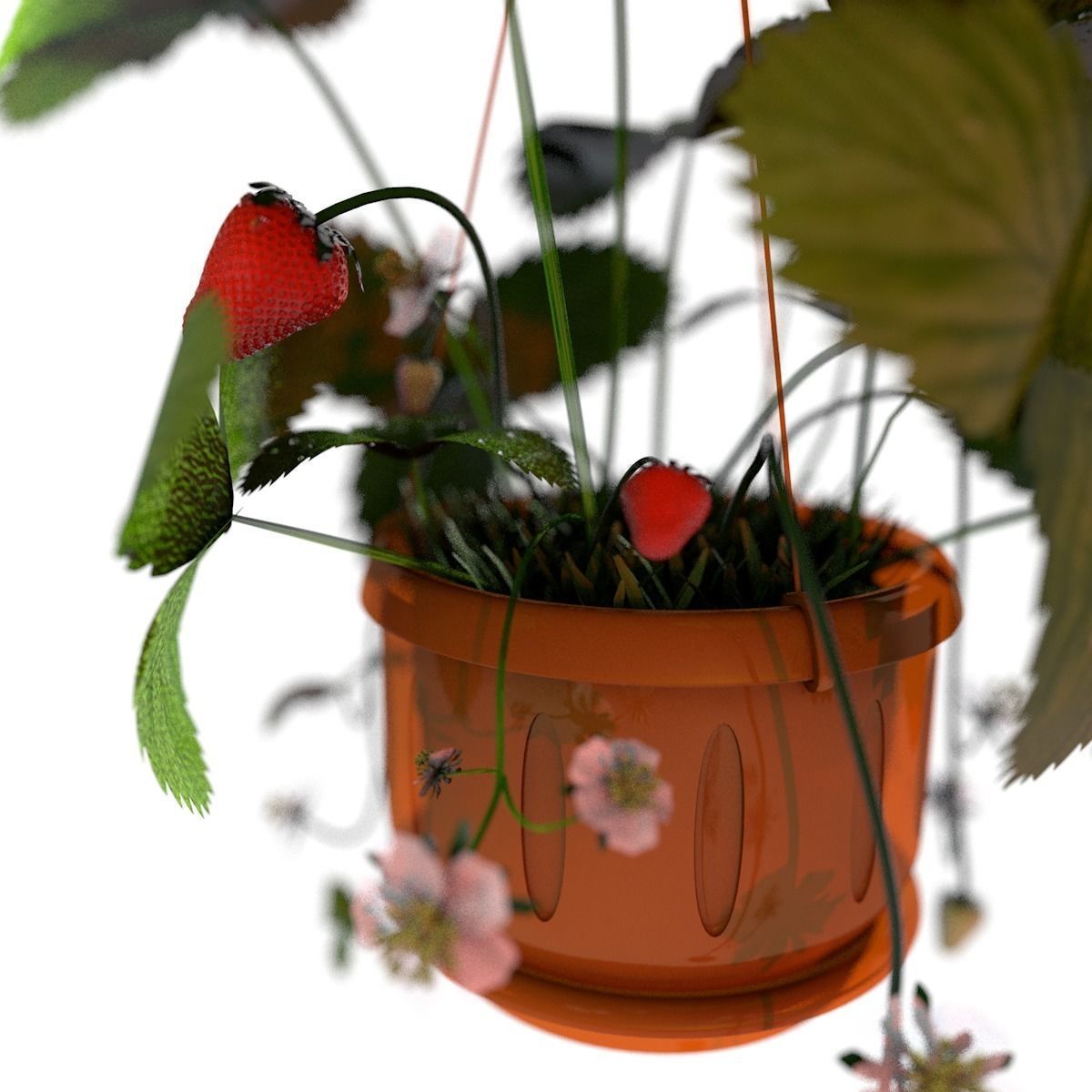 Strawberries in a pot 3D model_5