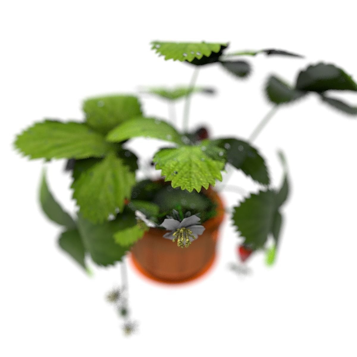 Strawberries in a pot 3D model_3