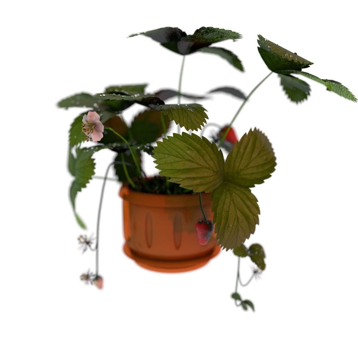 Strawberries in a pot 3D model_2