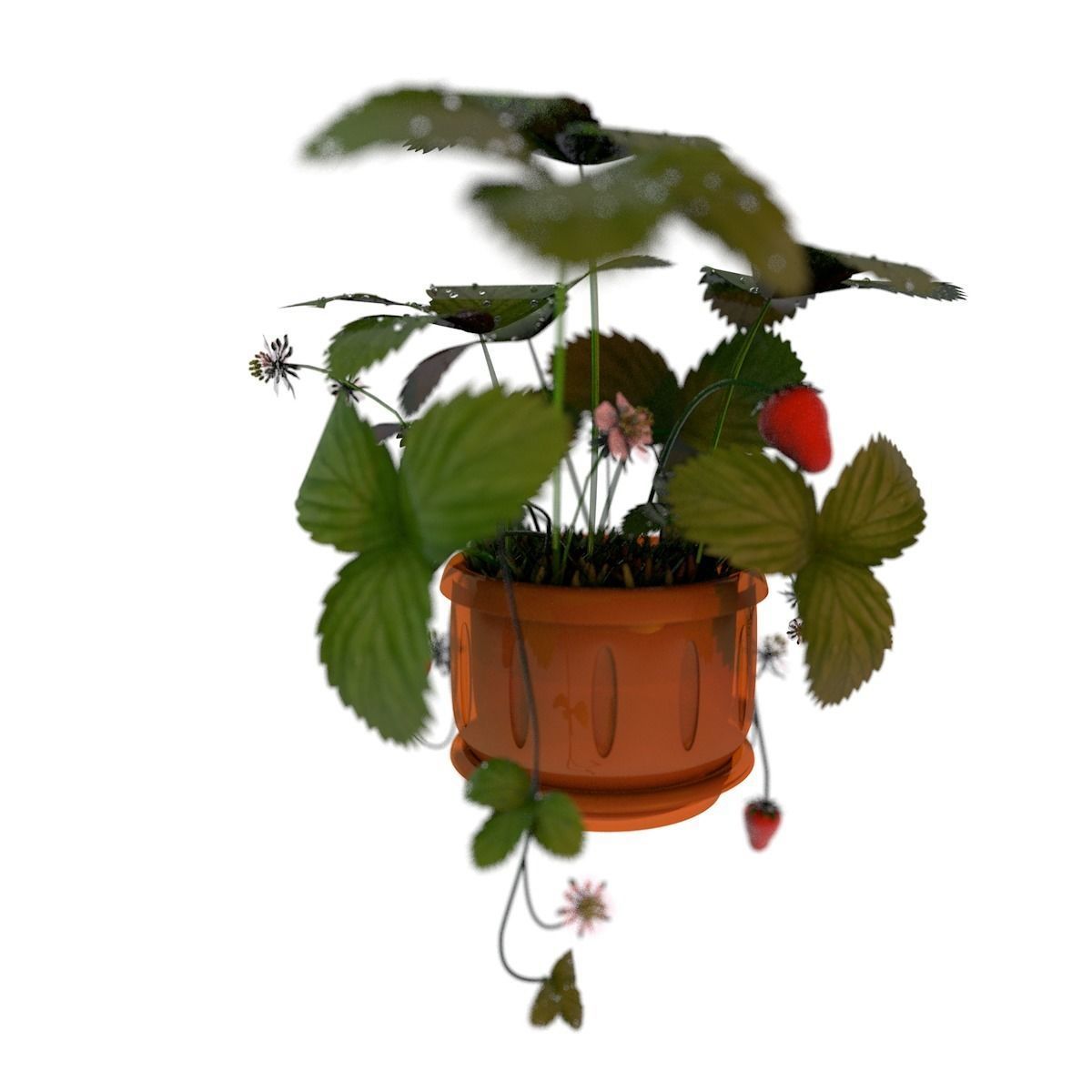 Strawberries in a pot 3D model_1